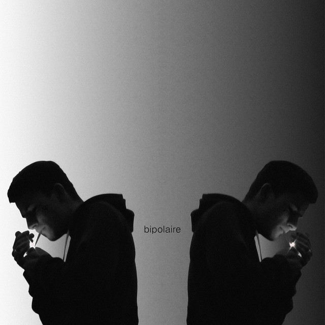 Bipolaire cover art