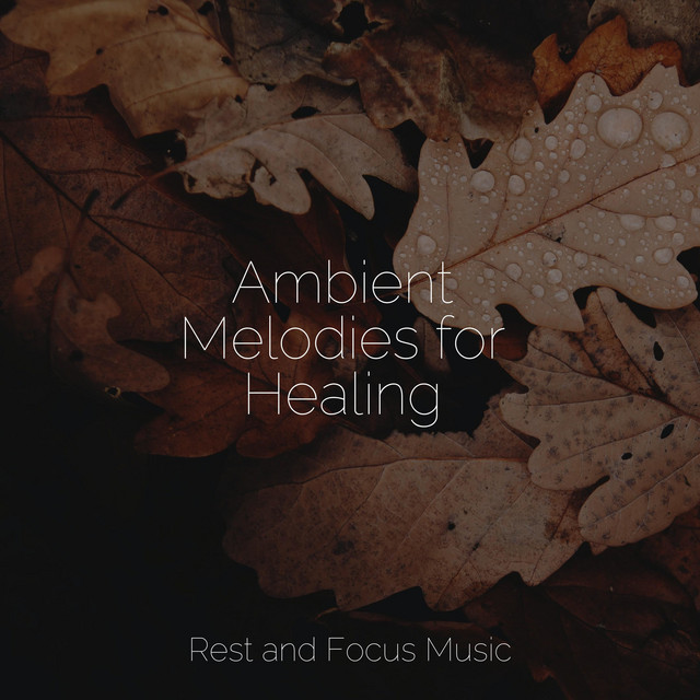Ambient Melodies for Healing - Album by Deep Sleep Meditation | Spotify