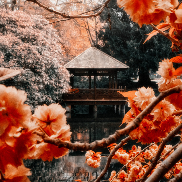 River House cover art
