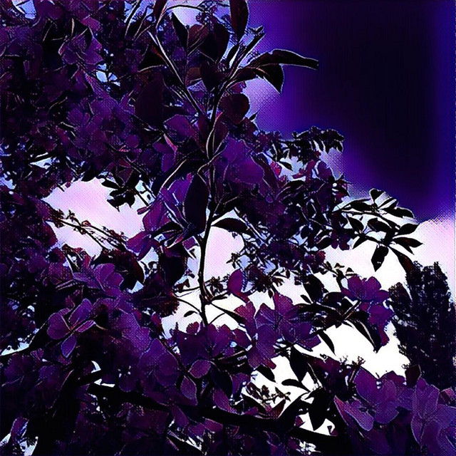 Classical Piano Dream