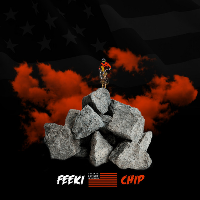 Chip