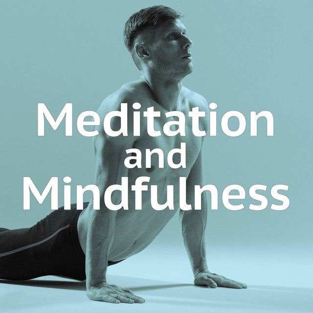 Meditation and Mindfulness cover art