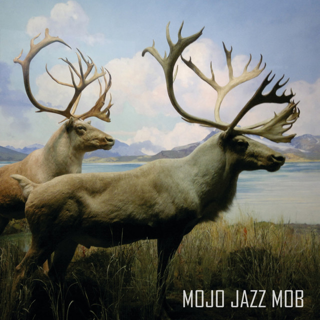 ... Still Hunting cover