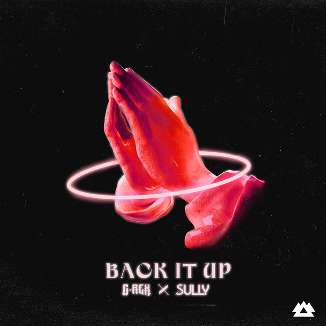 Back It Up