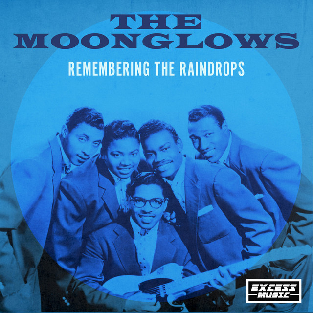 Remembering The Raindrops cover art