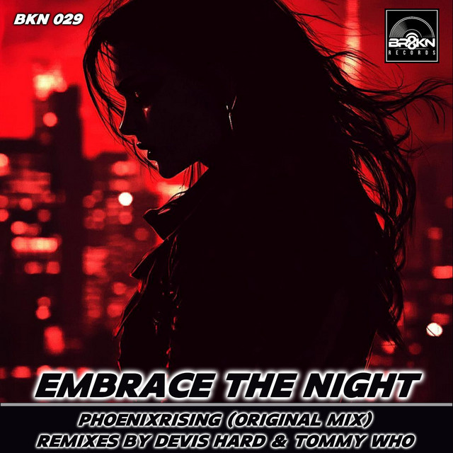 Embrace The Night - Original Mix cover art