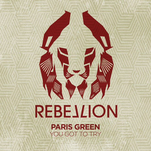 You Got To Try - Steve Bug Club Dub album art