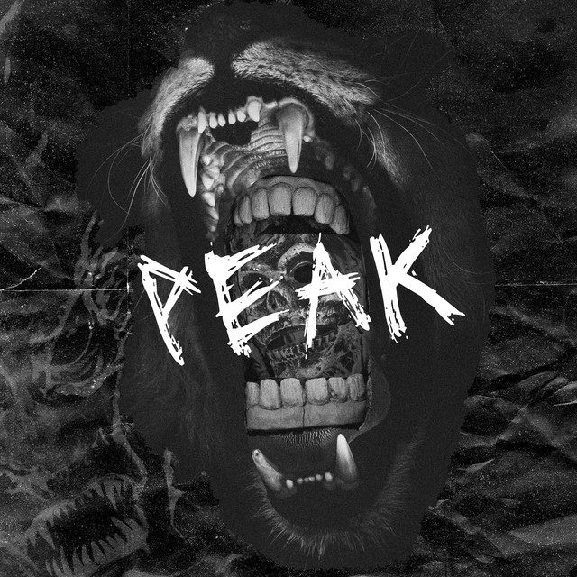 Cover art: Peak — Revsun
