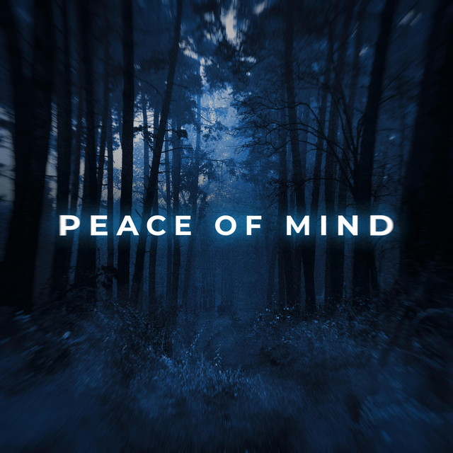 Обкладинка: peace of mind — VasyaSenator