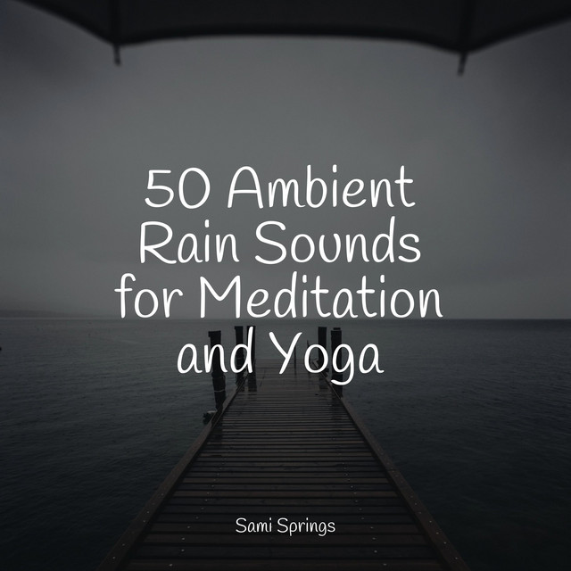 50 Ambient Rain Sounds for Meditation and Yoga - Album by Yoga Music ...