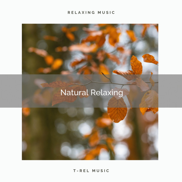 1 Natural Relaxing - Album by Sounds of Nature Relaxation | Spotify