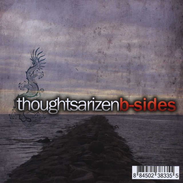 Thoughtsarizen
