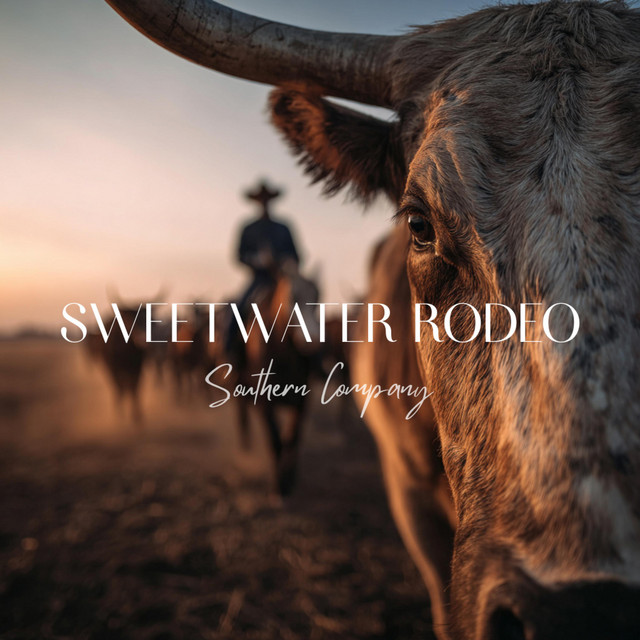Southern Company - Single by Sweetwater Rodeo | Spotify