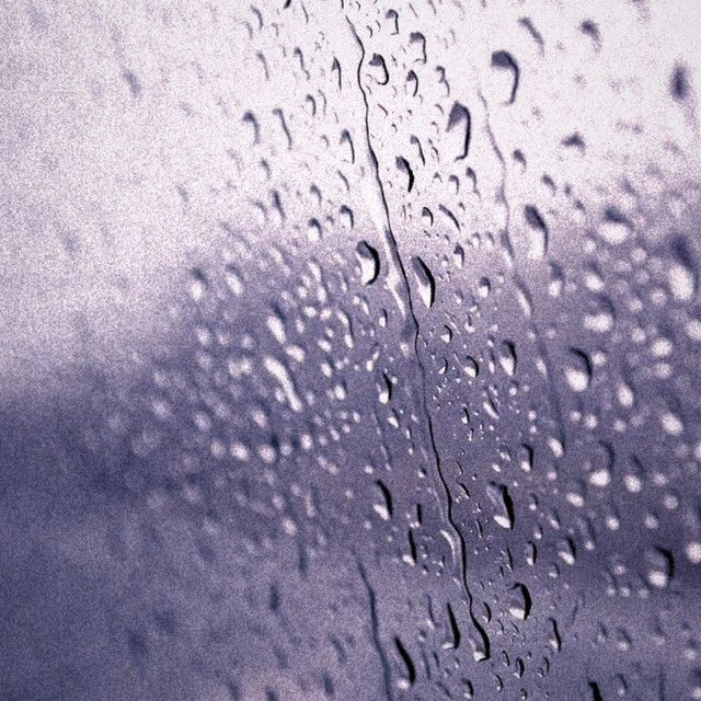Singing in the Rain cover art