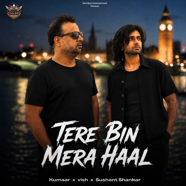 Tere Bin Mera Haal album image