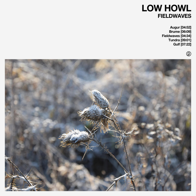 Fieldwaves cover art