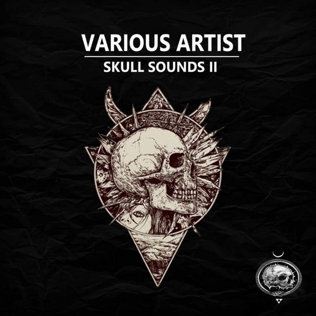 Skull Sounds VA 2 cover