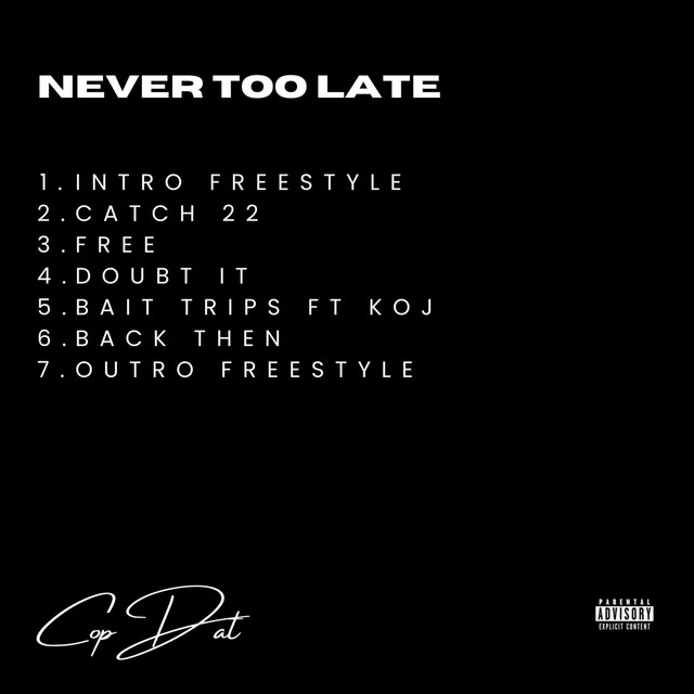 Never Too Late cover art