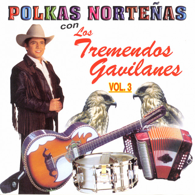 Polkas Norteñas, Vol. 3: 20 Éxitos cover art