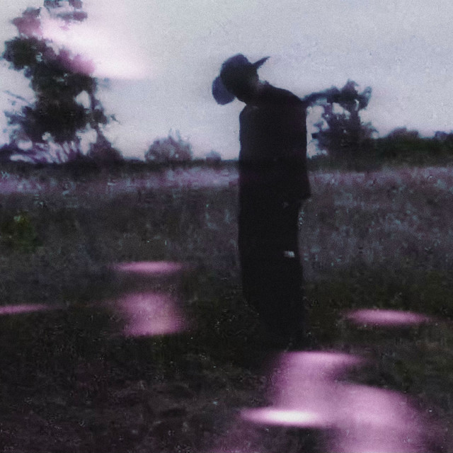 Night Falls cover art