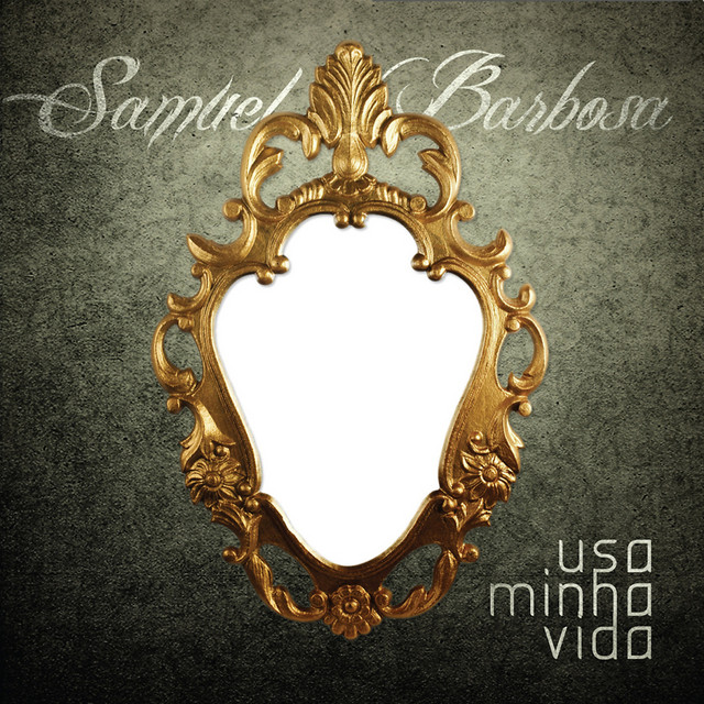 Usa Minha Vida cover art