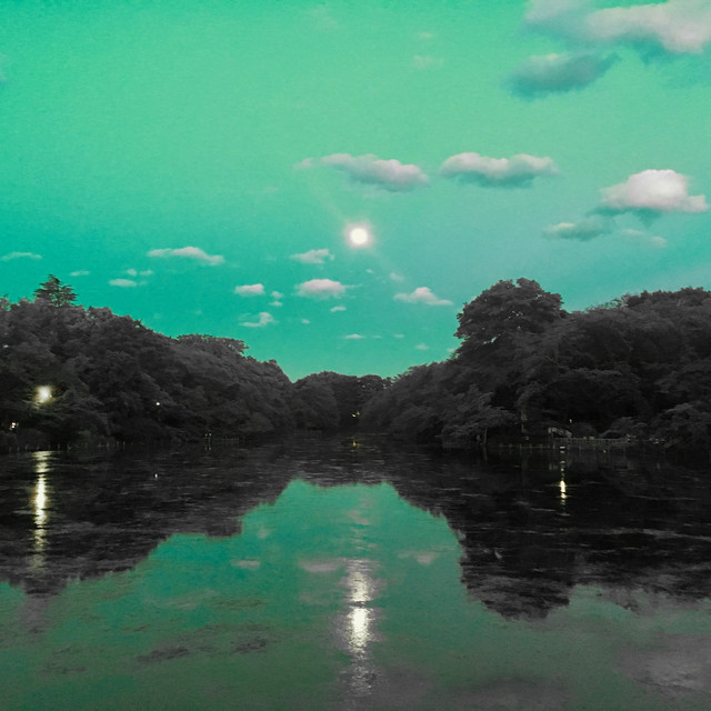 lazy afternoon cover