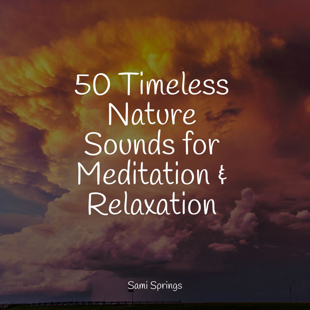 50 Timeless Nature Sounds for Meditation & Relaxation - Album by Water ...