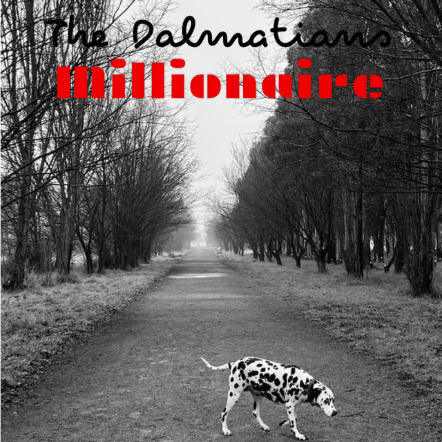 Millionaire cover