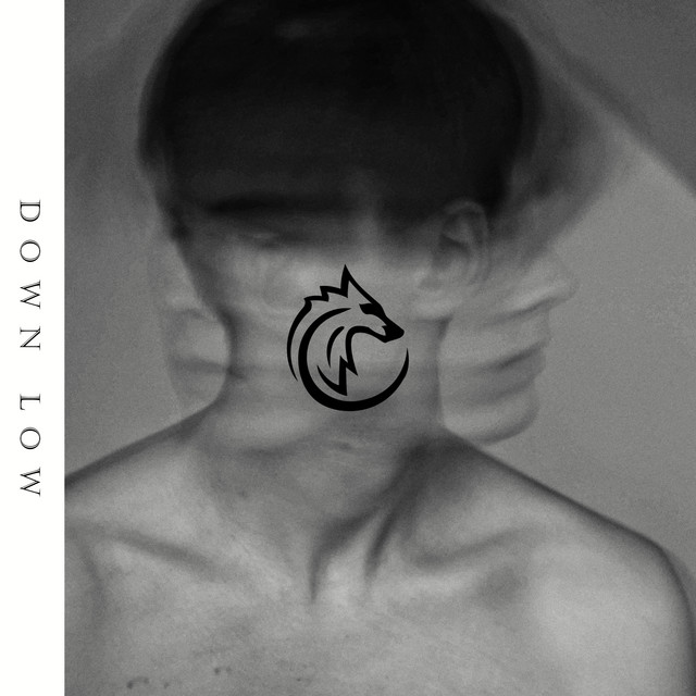 Down Low cover art
