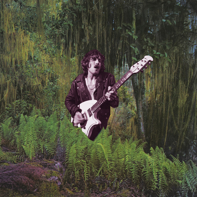 Outside of Paradise Revisited cover art