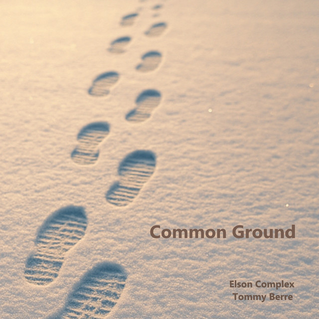 Common Ground cover art