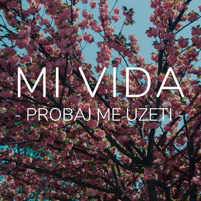 Mi Vida