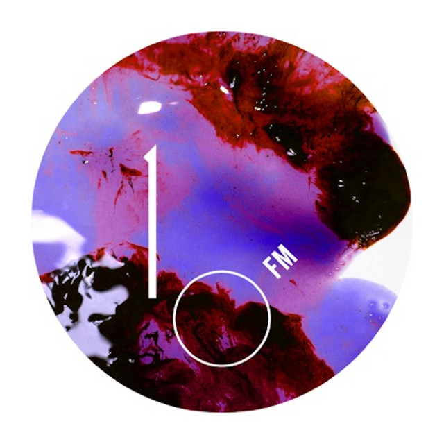 10 (A Decade of Feral Media) cover