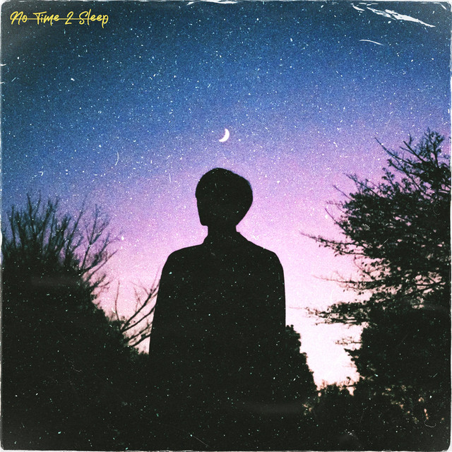No Time 2 Sleep cover art