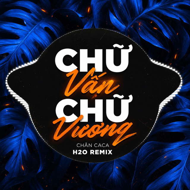 Chữ Vấn Chữ Vương (Remix) album image