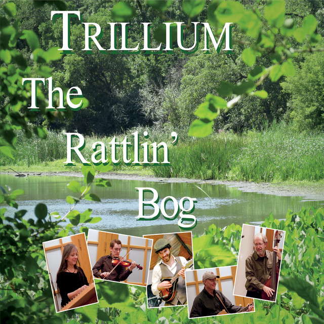 The Rattlin' Bog cover art