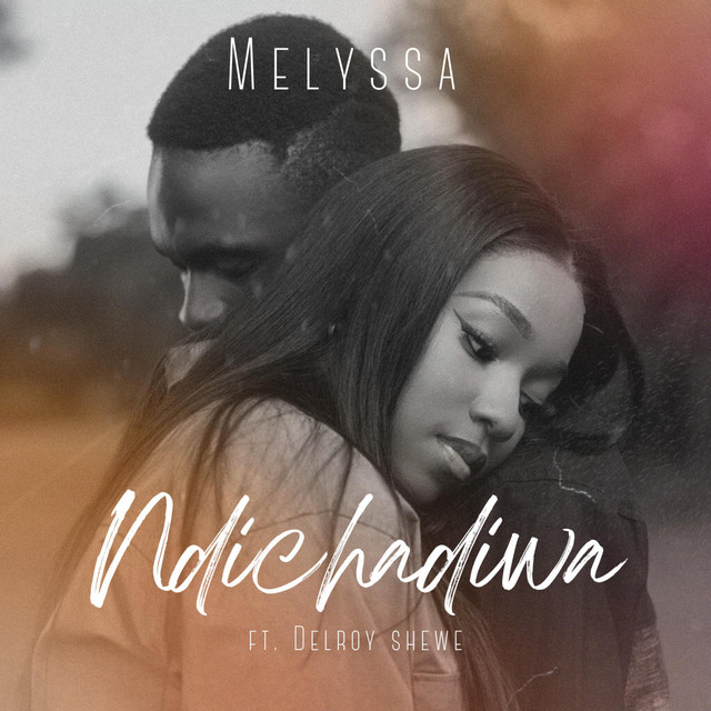 Ndichadiwa cover art