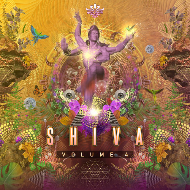 Shiva, Vol. 4 cover