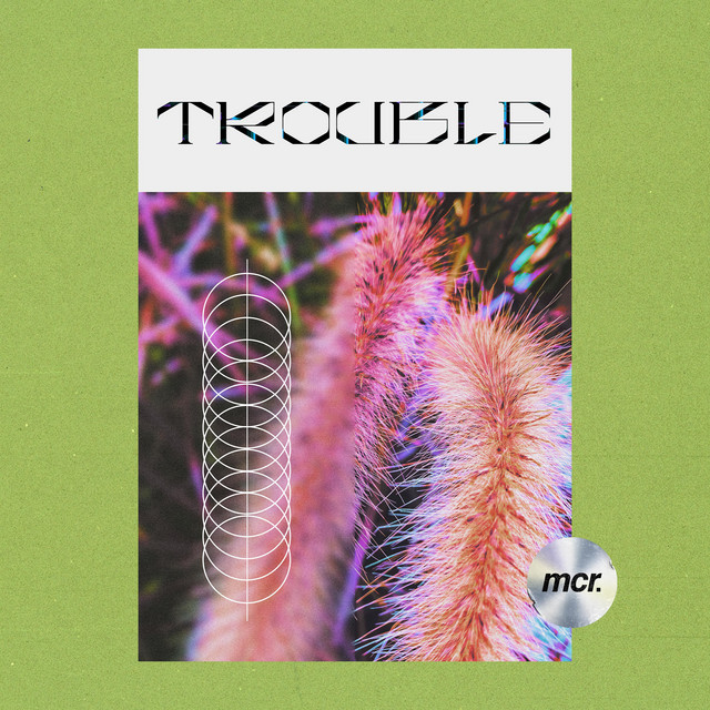 Trouble (Michel Dj Remix) cover art