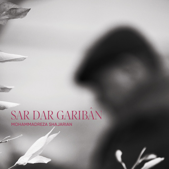 Sar Dar Gariban album image