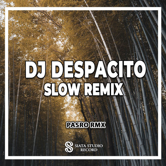 DJ Despacito Slow Remix - Single by PASRO RMX | Spotify