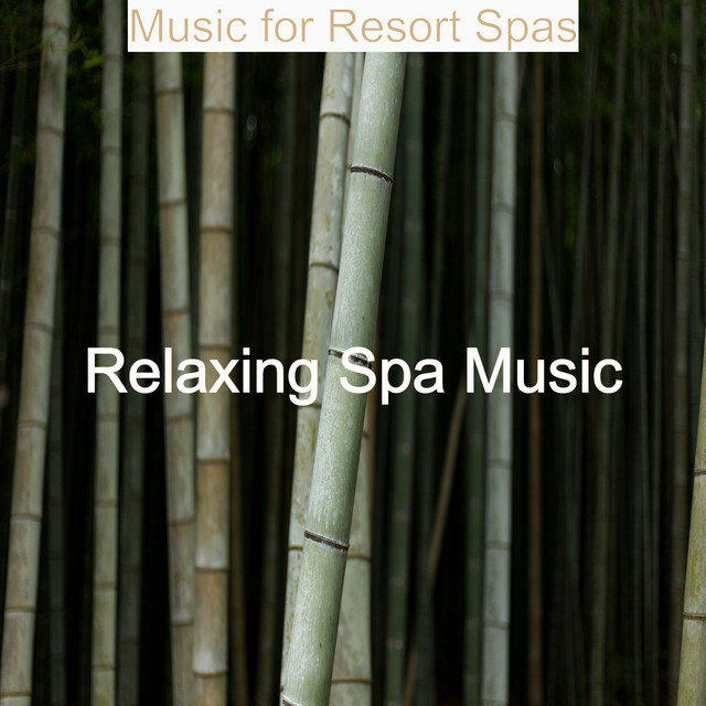 Bgm for Relaxing Spas - song and lyrics by Relaxing Spa Music | Spotify