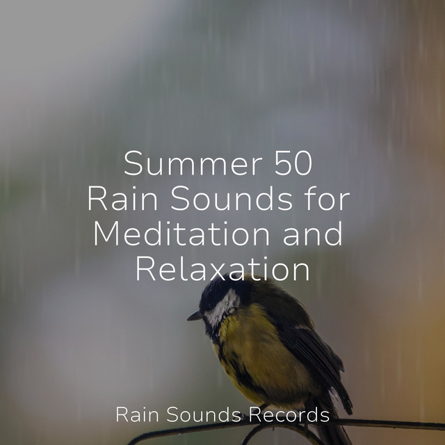 Summer 50 Rain Sounds for Meditation and Relaxation - Album by Zen ...