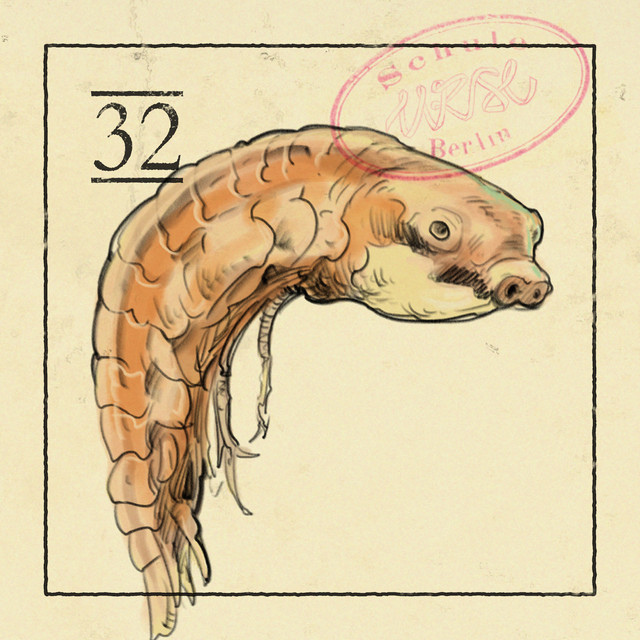 Mimic cover