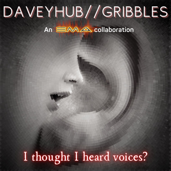 I Thought I Heard Voices cover