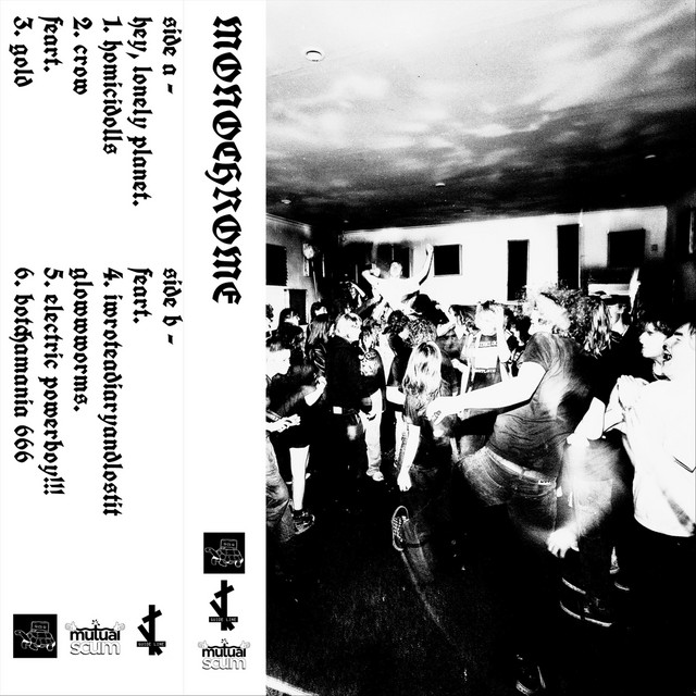 Monochrome - Split cover art
