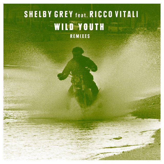 Wild Youth cover