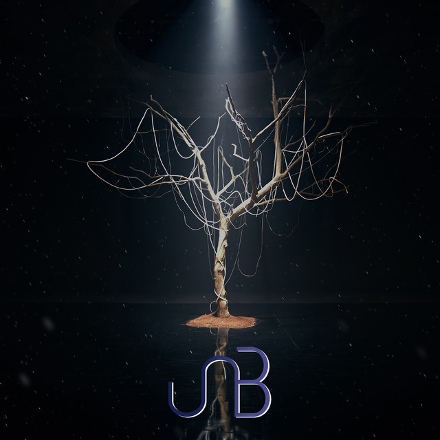 BOYHOOD cover art