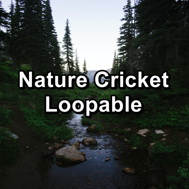 Nature Cricket Loopable cover art