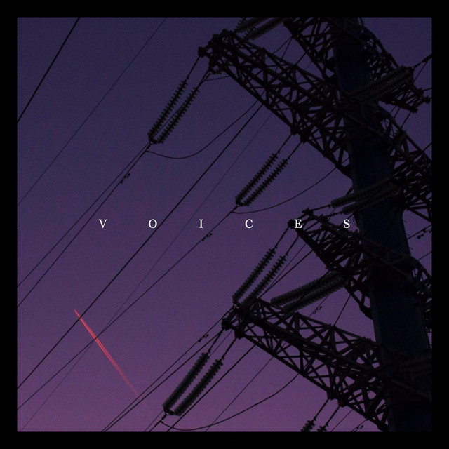 Voices cover art
